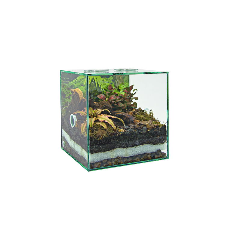 PLANTCUBE - Vivarium 20x20x20 Biom Bundle